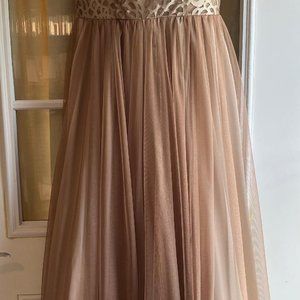 Used Prom Dress with Potential